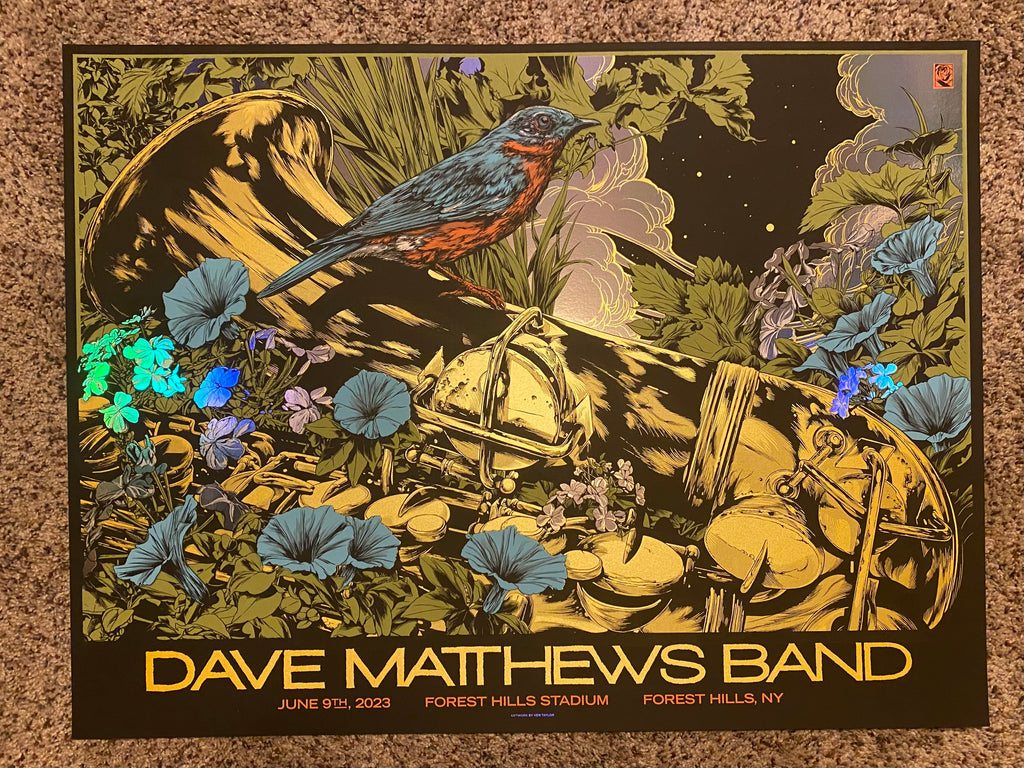 Dave Matthews Band NY Poster (Foil Variant) by Ken Taylor