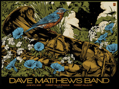 Dave Matthews Band NY Poster by Ken Taylor