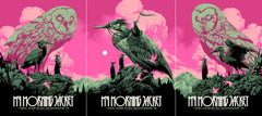 My Morning Jacket NYC Concert Poster Set by Ken Taylor