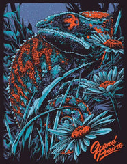 Phish Grand Prairie Concert Poster by Ken Taylor