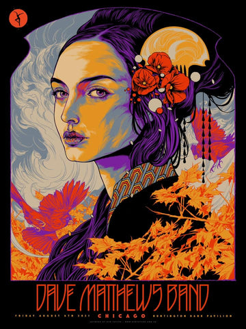 Dave Matthews Band Chicago Poster by Ken Taylor