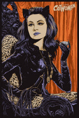 Catwoman Poster by Ken Taylor