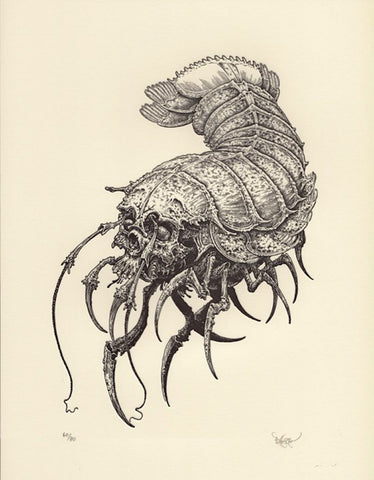 "Skull Isopod" Art Print by Brandon Holt